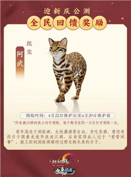 无限召唤天龙八部私服